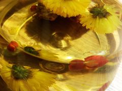 -探窝·竹笙椰子鸡(杨箕店)