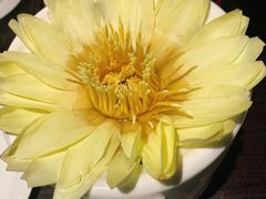 莲花清鸡汤(大份)-甄御•海鲜新青岛菜(麦岛店)