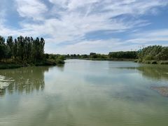 -马家湾湿地公园
