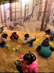 -恐龙探索乐园(磁器口店)