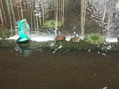 -东北大厦酒店(沈阳北站青年大街店)