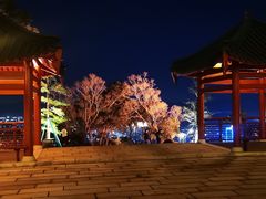 -龙江公园