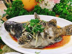 -刘记糟粕醋海鲜烧烤