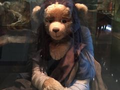 -济州岛泰迪熊博物馆