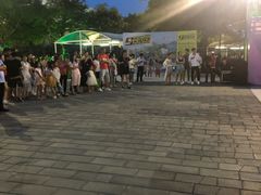 -巨鹏飞梦幻海岸