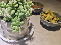 -船歌·鱼水饺青岛菜(石老人店)