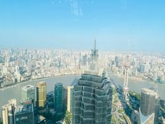 -上海柏悦酒店