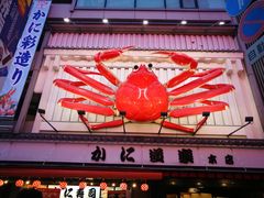 -蟹道乐(道顿堀本店)