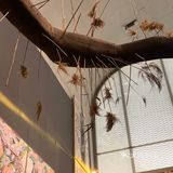 上海看展｜寻找属于你自己的石头