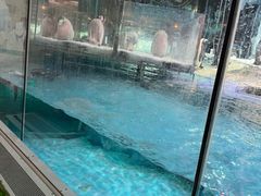 -帝企鹅自助餐厅•儿童岛•真企鹅(长隆企鹅酒店)