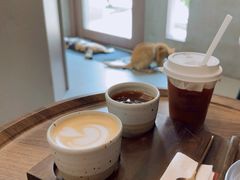 -Again Coffee Roaster(香蜜湖店)