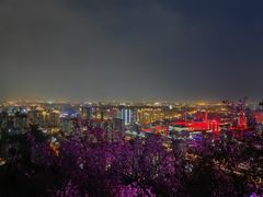 -红光山