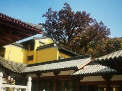 -灵谷景区