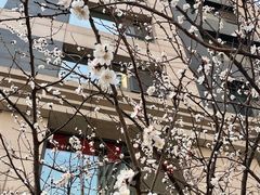 -津乐园(南北大街店)