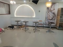 -共舞时光猫咖·狗咖(新街口店)