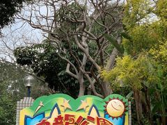 -九龙公园