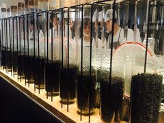 -喜茶(上海兴业太古汇店)