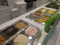 -Salud撒露欧洲冻酸奶(蓝色港湾店)