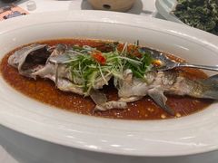 虫虫鱼（每斤）-胖姐渔村(中源大道店)