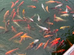 -春晖园度假酒店温泉