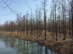 -泗洪洪泽湖湿地景区