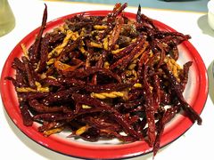 -付掌柜在成都·热炒砂锅集(金禾店)