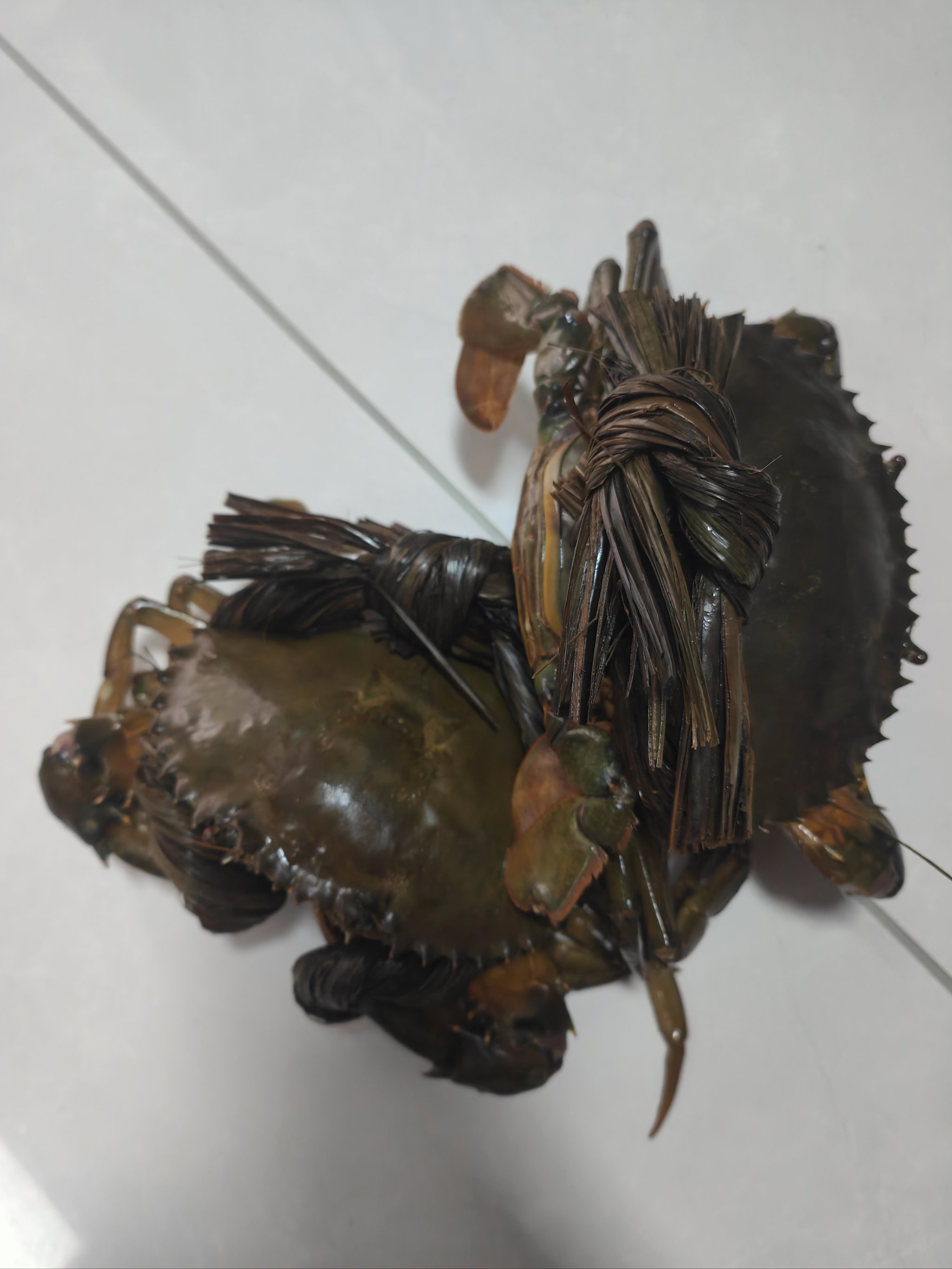 青蟹有哪几种做法图片大全(青蟹有哪几种做法图片大全视频)