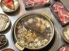 -菌小白·野生菌火锅(时尚天河店)