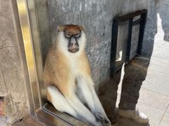 -石家庄市动物园