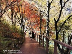 -叠溪松坪沟景区