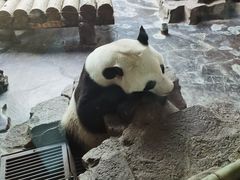 -济南野生动物世界