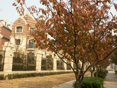 android_upload_pic-新江湾城公园