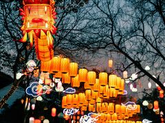 -西溪国家湿地公园