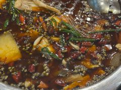 -乡土特色.冷锅鱼.牦牛肉汤锅