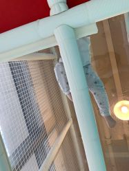 -多多淘儿童体验中心(重庆来福士店)