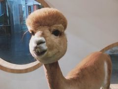 -藦茜花园宠物主题亲子互动体验馆(国顺东路店)