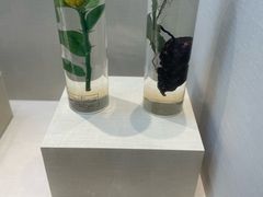 -广东中医药博物馆