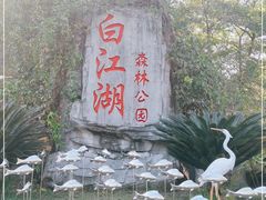 -广州白江湖森林公园