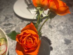 -芭莉与彩虹西餐厅(成都合生汇店)