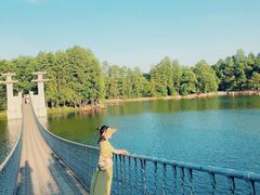 -东湖落雁景区