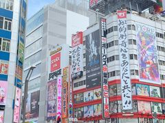 -秋叶原电器街