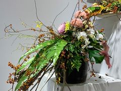 -汇龙潭