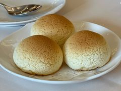 雪顶雄峰-利苑酒家(金宝店)