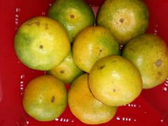 -嘉百乐超市(新东街店)