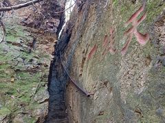 -天女山森林公园
