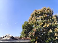 -南京晨光1865创意产业园