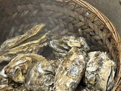 -蚝堡海鲜·威海菜·海肠捞饭·烧烤·亚洲吃蚝公司(幸福门店)