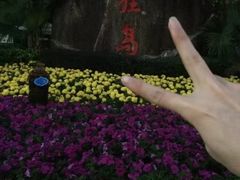 -野狸岛