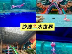 -哈尔滨波塞冬海底世界