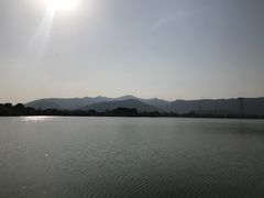 -长田漾湿地公园